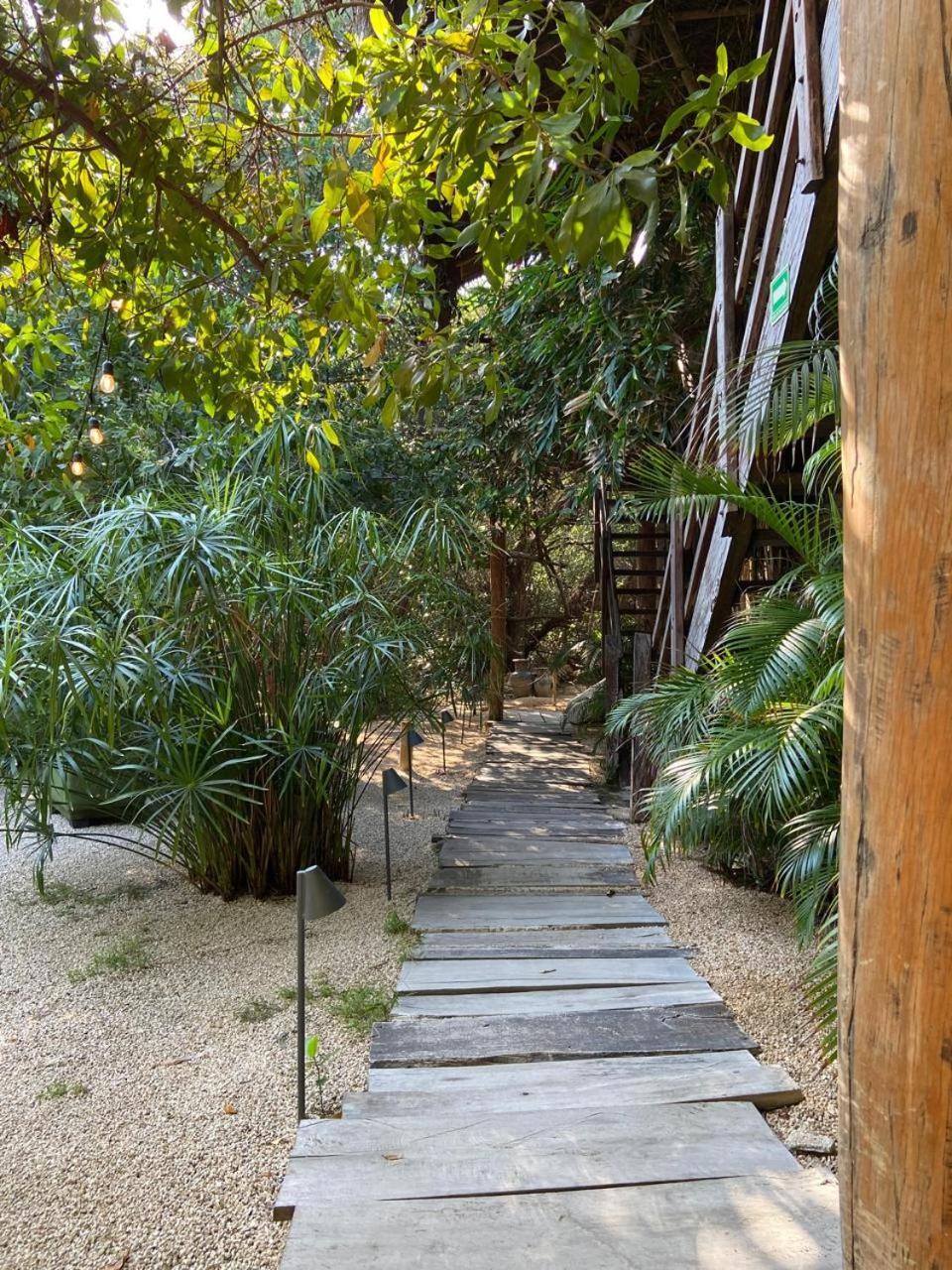 Amor Rooms Tulum Zewnętrze zdjęcie